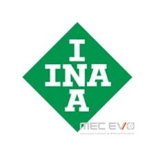 Inna Blacktop hydraulic valve lifter