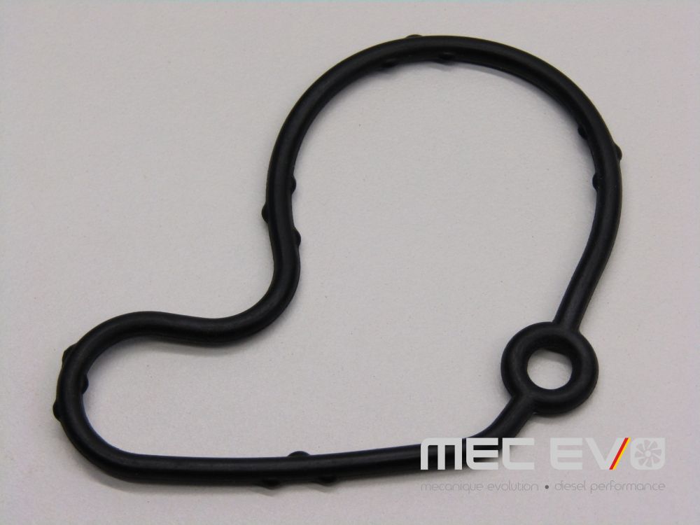 ALH Vacuum pump seal 