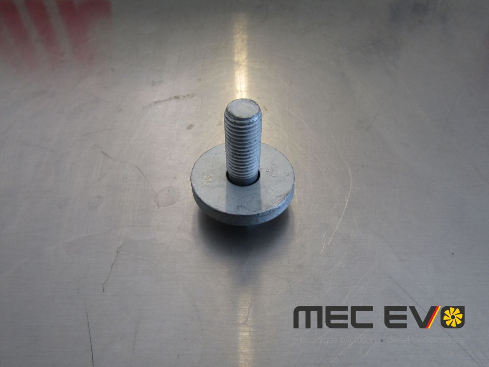 TDI Camshaft pulley bolt